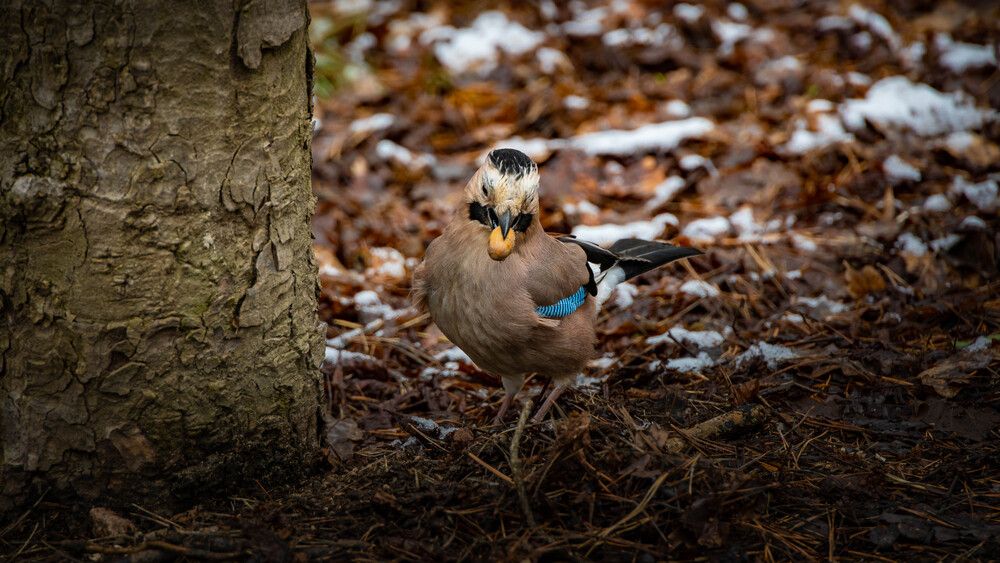 Photograph by Александр Ермаков