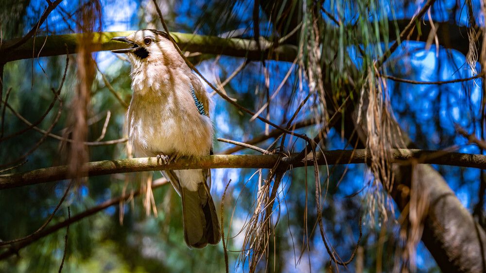 Photograph by Александр Ермаков