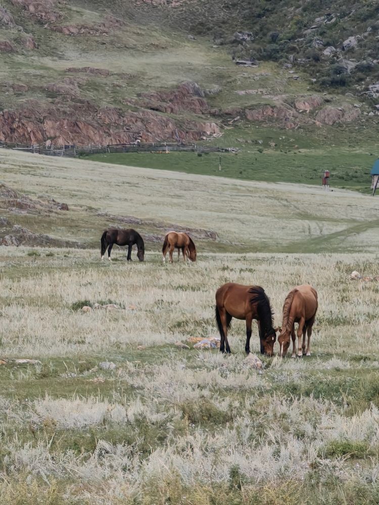 На свободе.