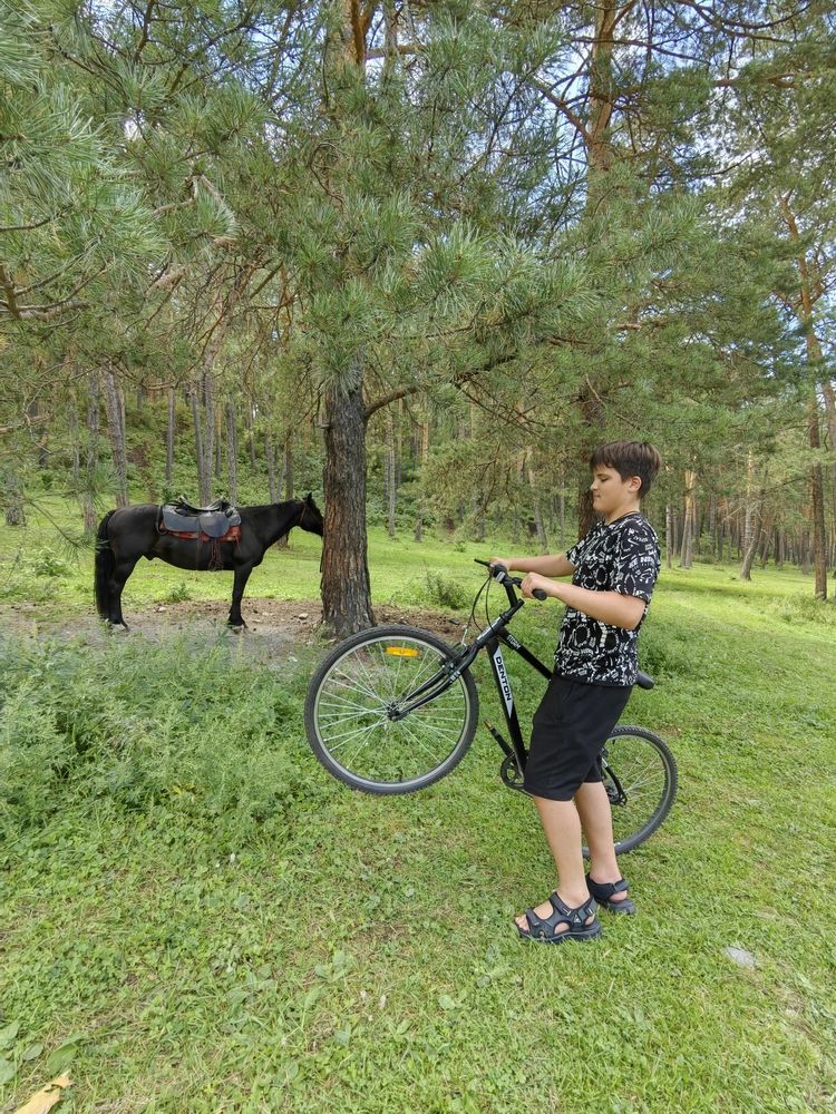 Фотография автора Алёна С-К