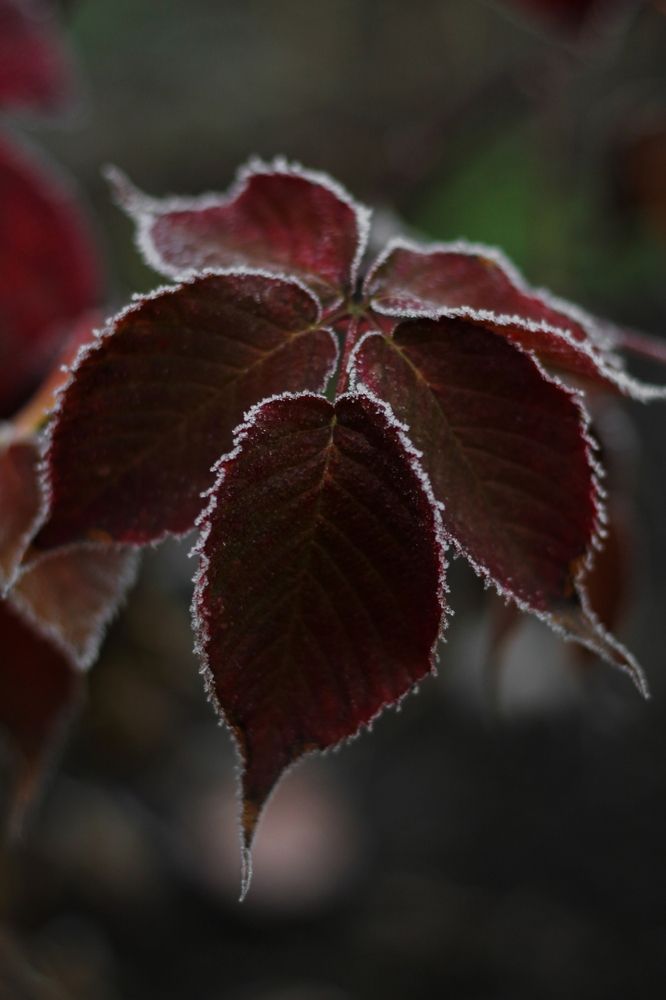 Photograph by Анна Зайченко