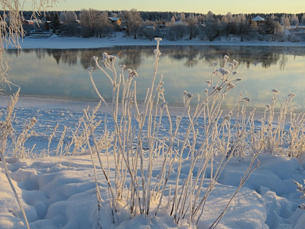 Морозное утро в Дубровке.