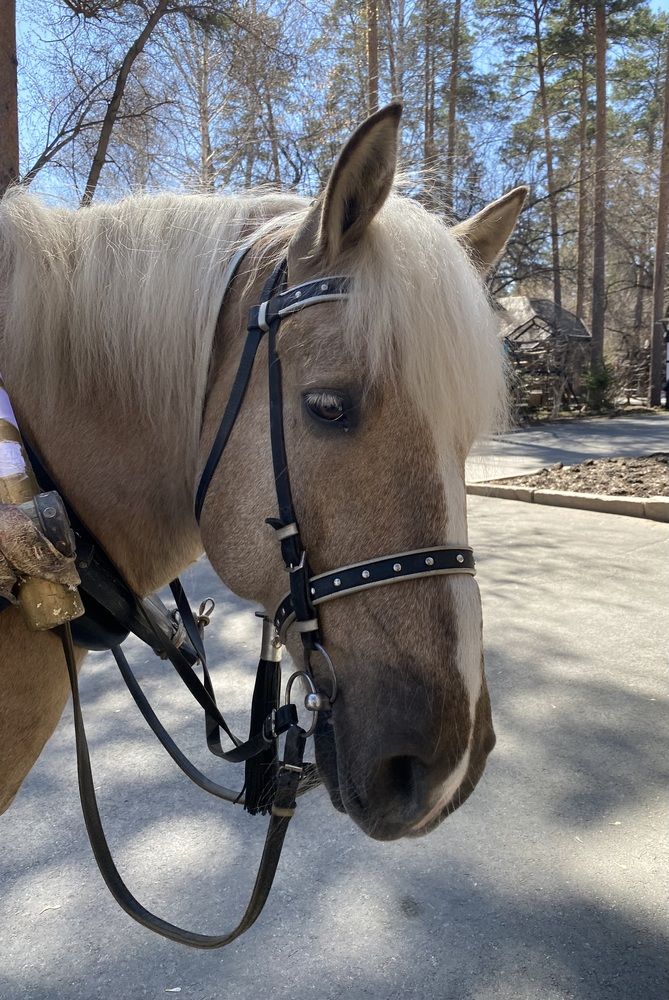 Photograph by Алиса Лукина