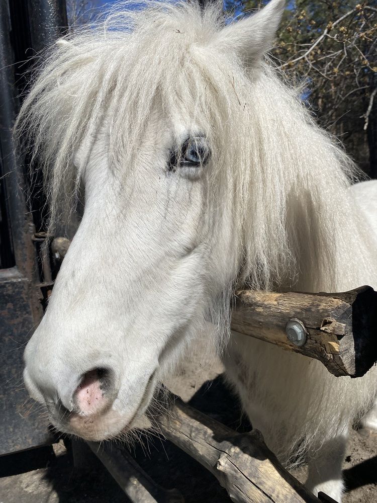 Photograph by Алиса Лукина