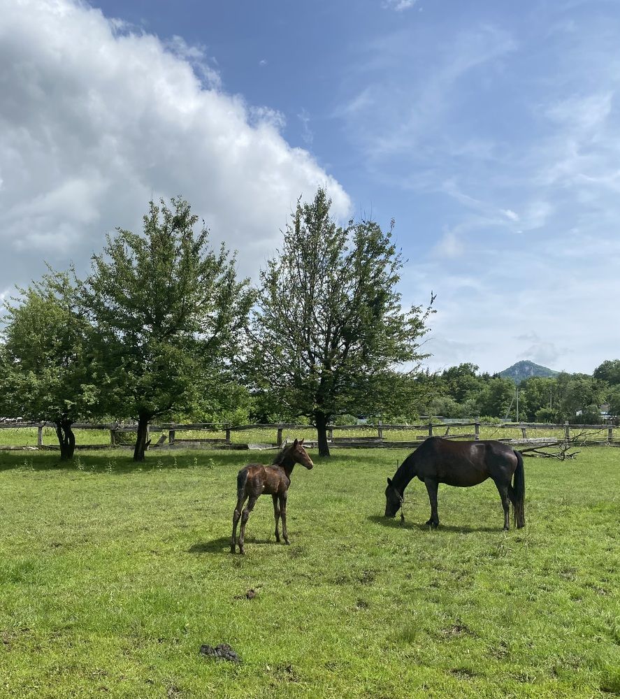 Photograph by Алиса Лукина