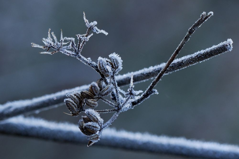 Фотография автора Илан Грабоис