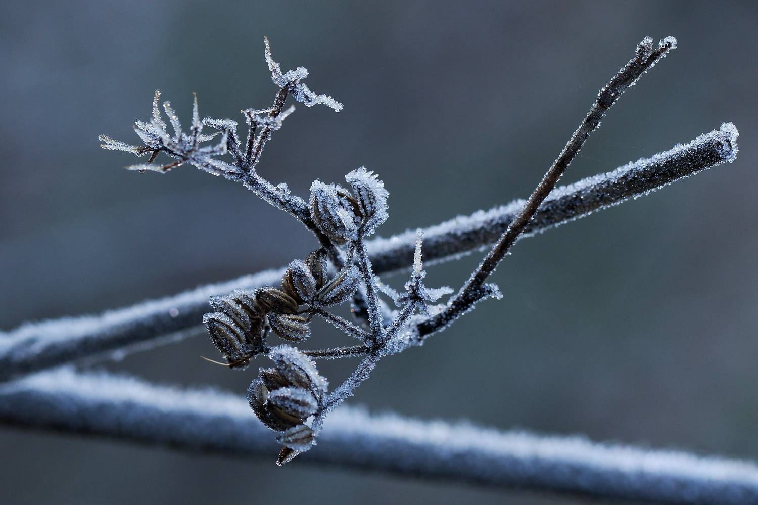 Фотография #13030958