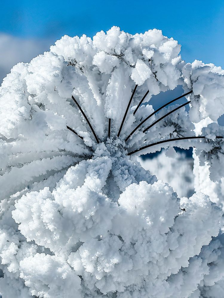 Photograph by Igor Maksimenko