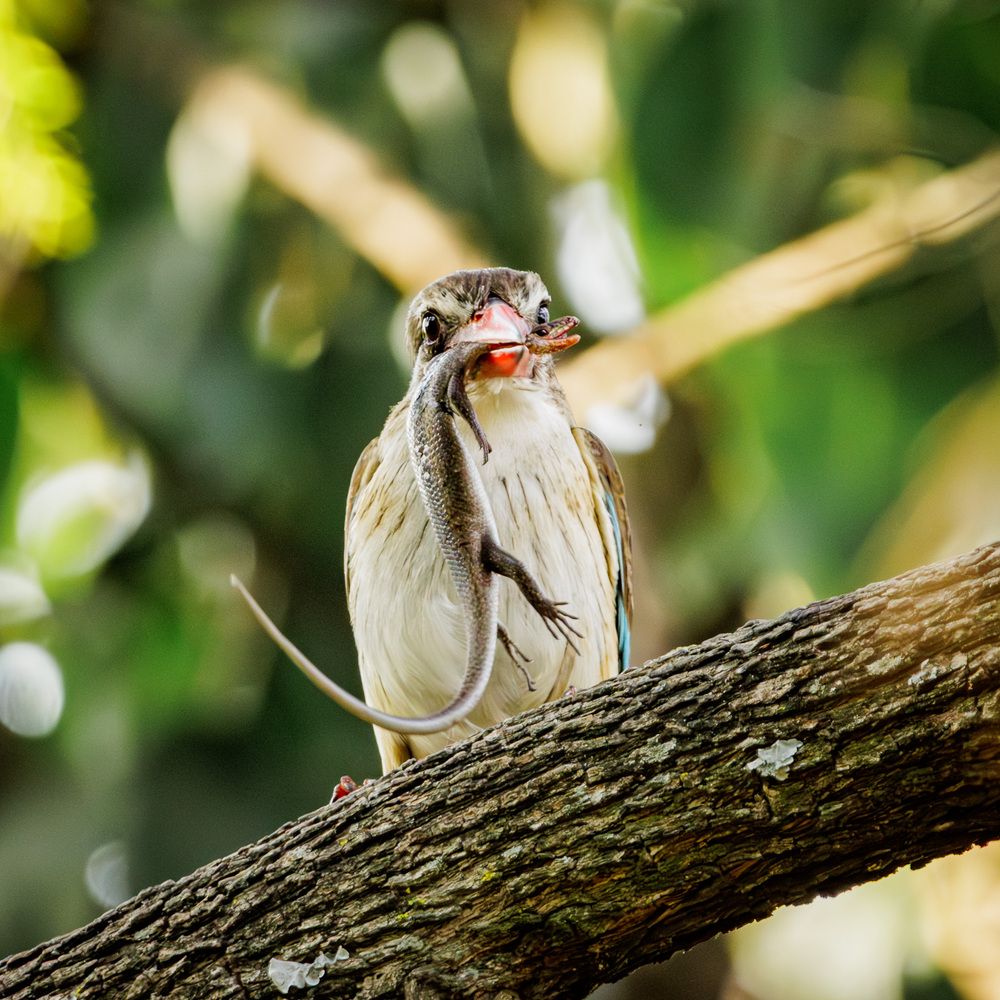 Photograph by Ken Stavrou