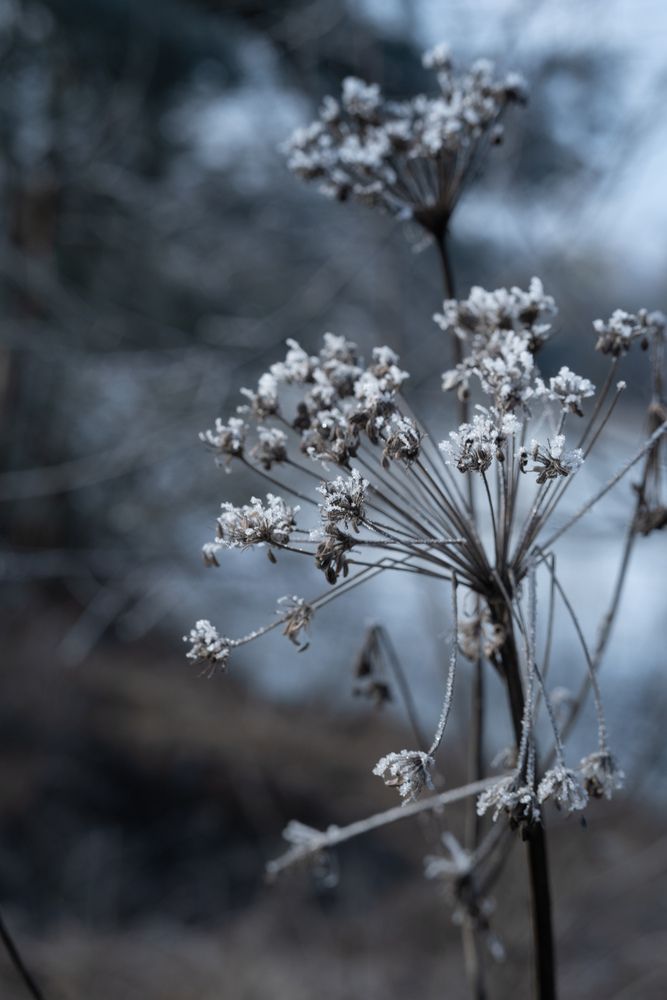Photograph by Даниил Пузаков