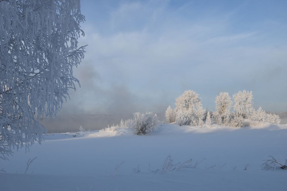 Photograph by Владимир Звягин