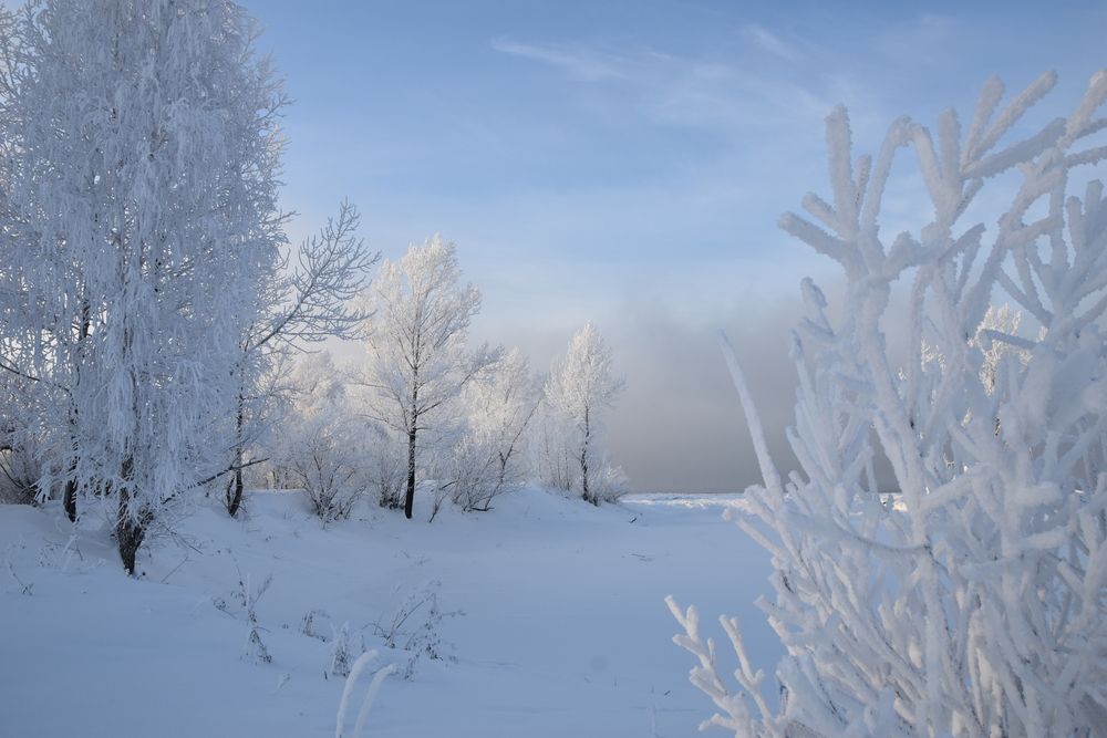 Photograph by Владимир Звягин