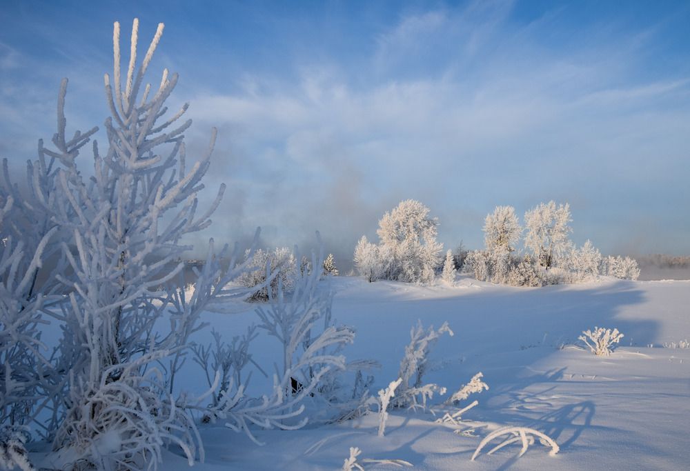 Photograph by Владимир Звягин