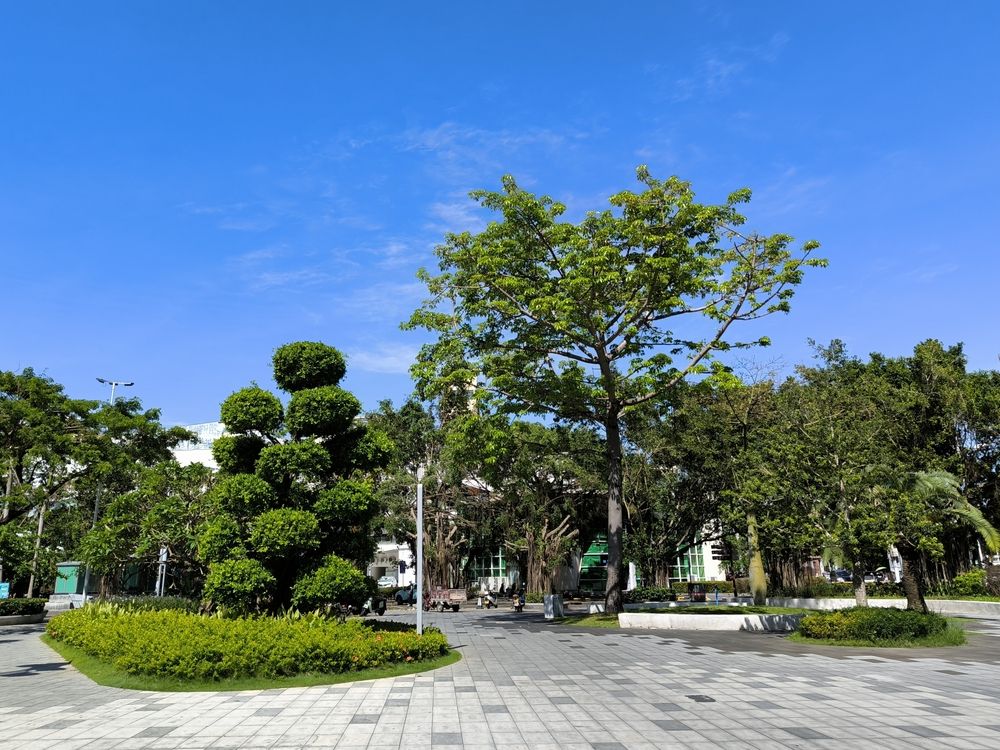 Фотография автора Александр Осинцев