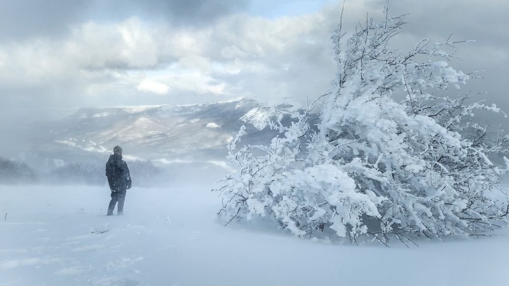 Photograph by Дмитрий Морозов