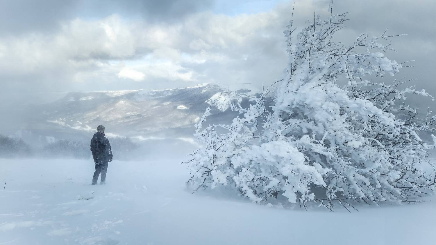 Фотография #13031031