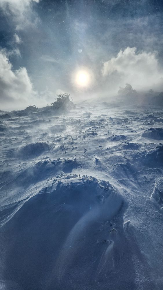 Photograph by Дмитрий Морозов