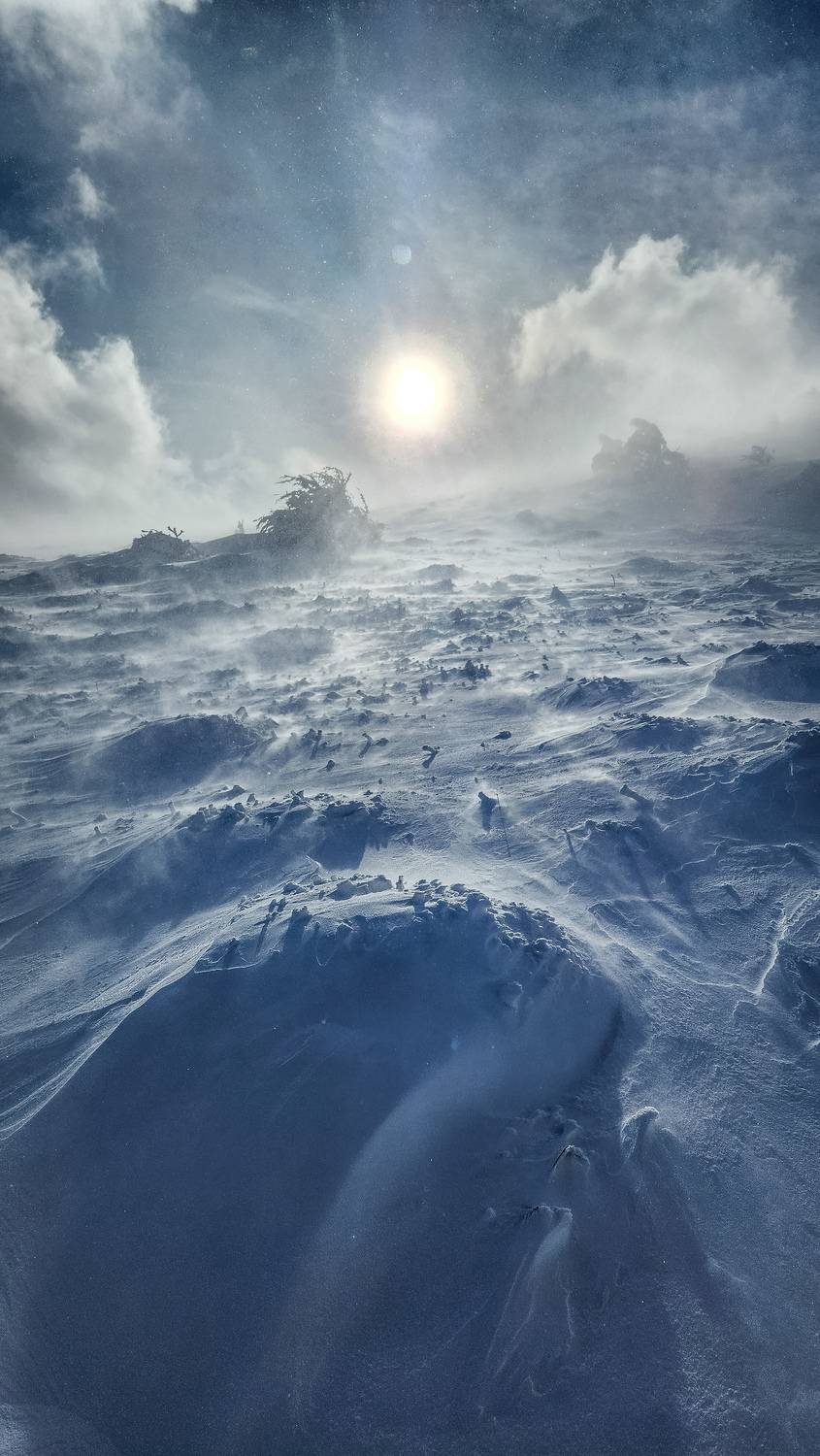 Фотография #13031032