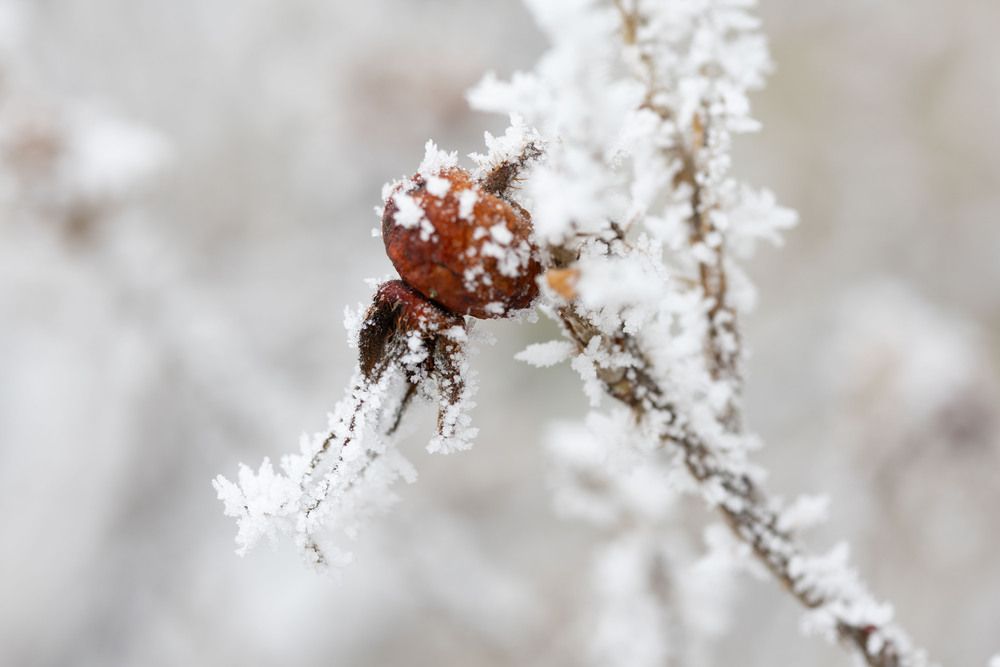 Photograph by Наталья Латыпова