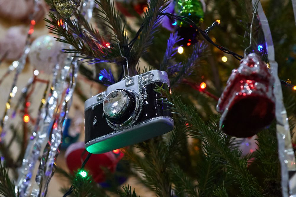 Photograph by Елена Пономарева