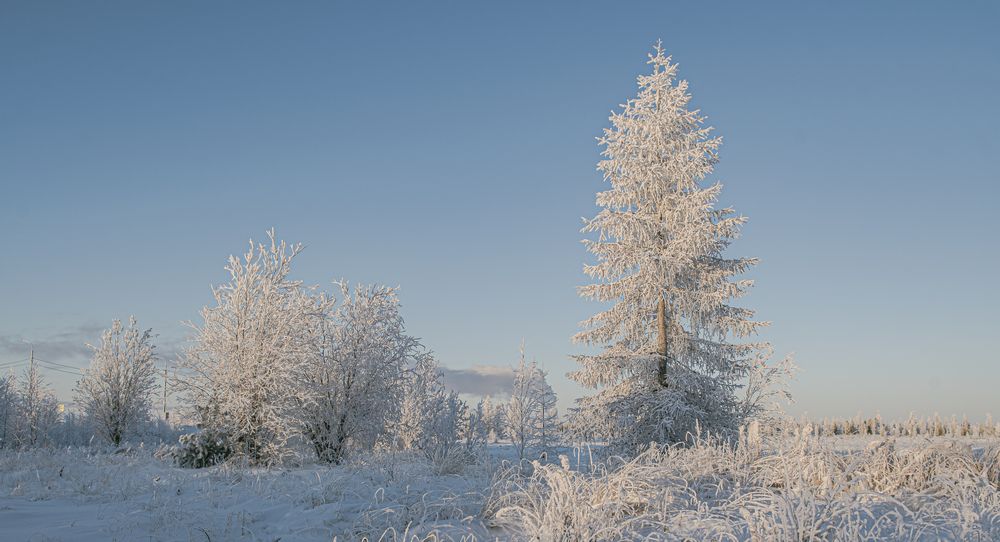 Photograph by Игорь Шабалин