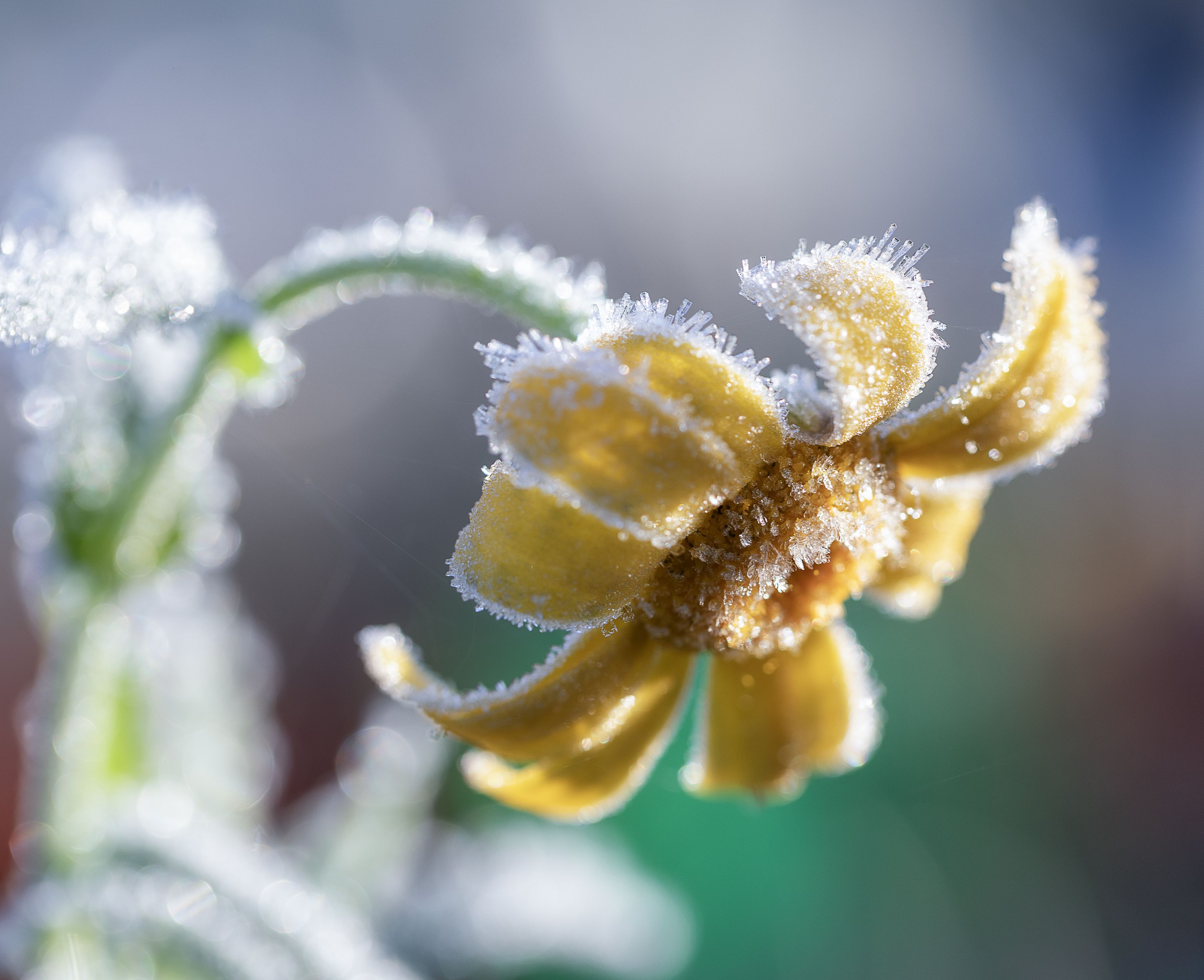 Photograph by Татьяна Феденкова