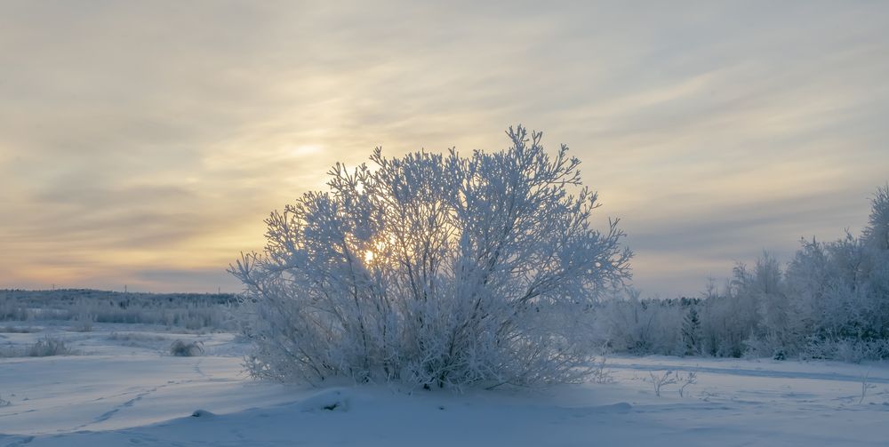 Photograph by Игорь Шабалин