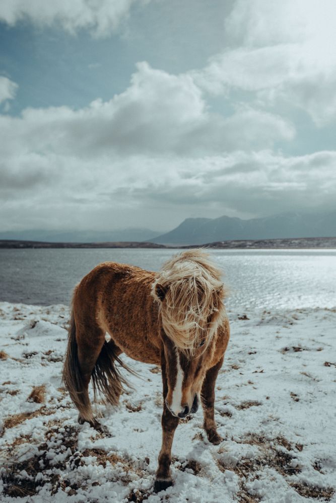 Photograph by EVGENII KOCHETKOV