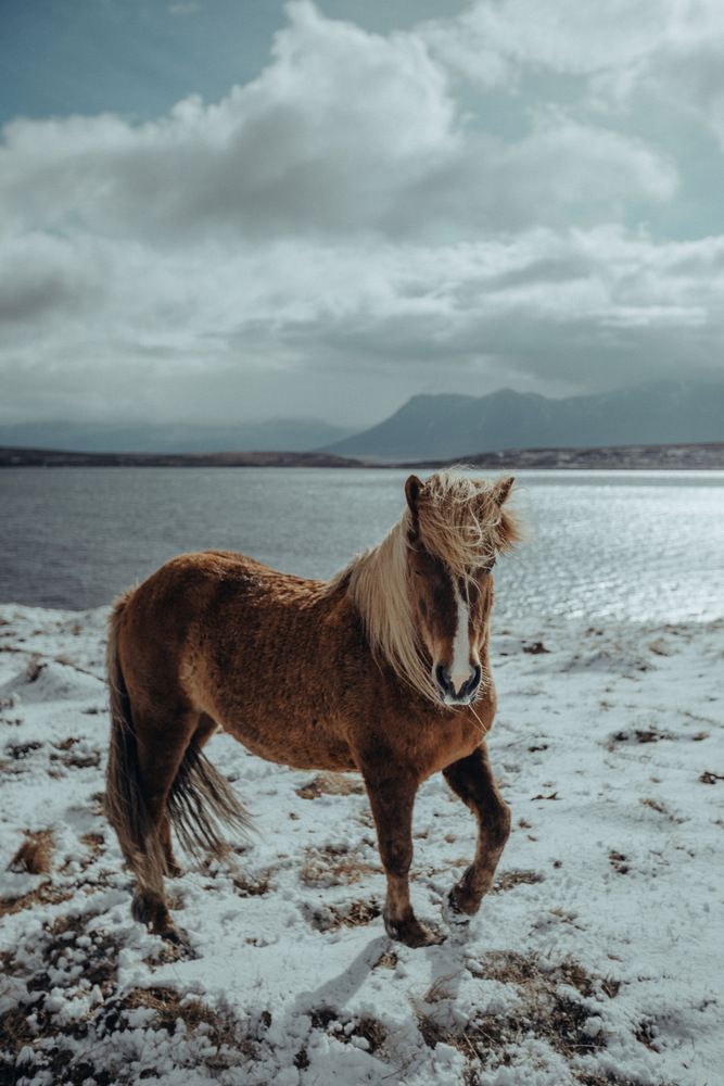 Photograph by EVGENII KOCHETKOV