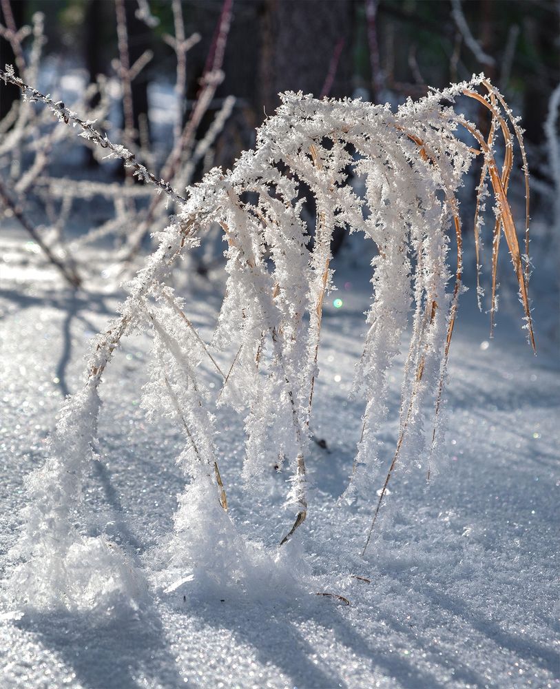 Фотография автора Госпадарёв Александр