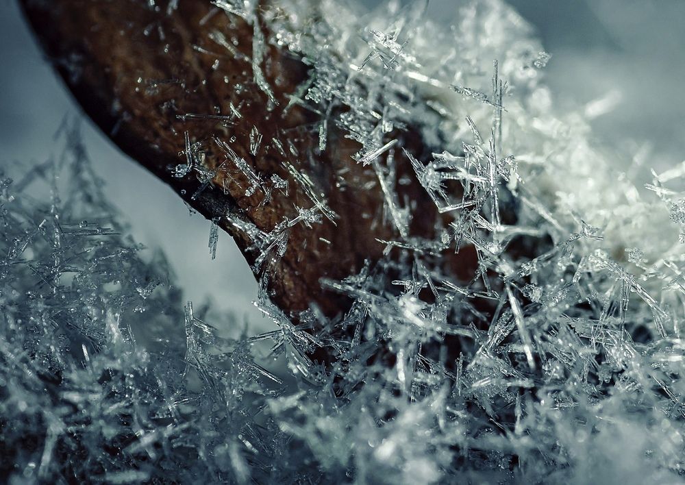 Фотография автора Helena Ivanova