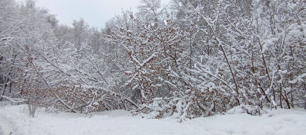 Photograph by Елена Клят