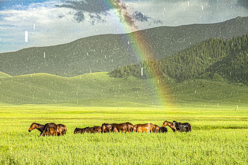 Радужный дождь