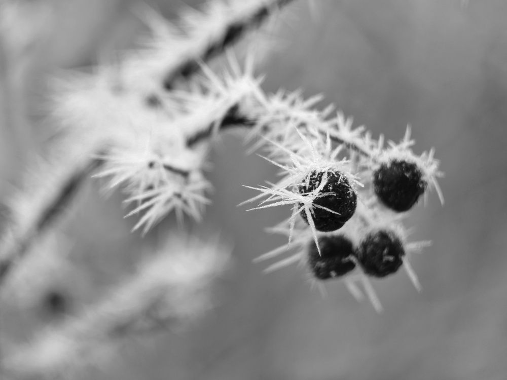 Фотография автора Андрей Шестаков