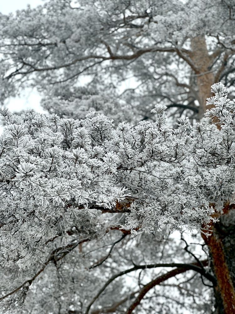 Photograph by Валентина Кондратьева