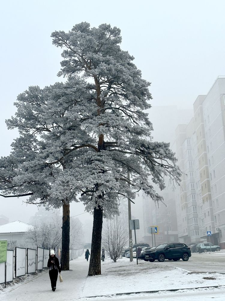 Photograph by Валентина Кондратьева