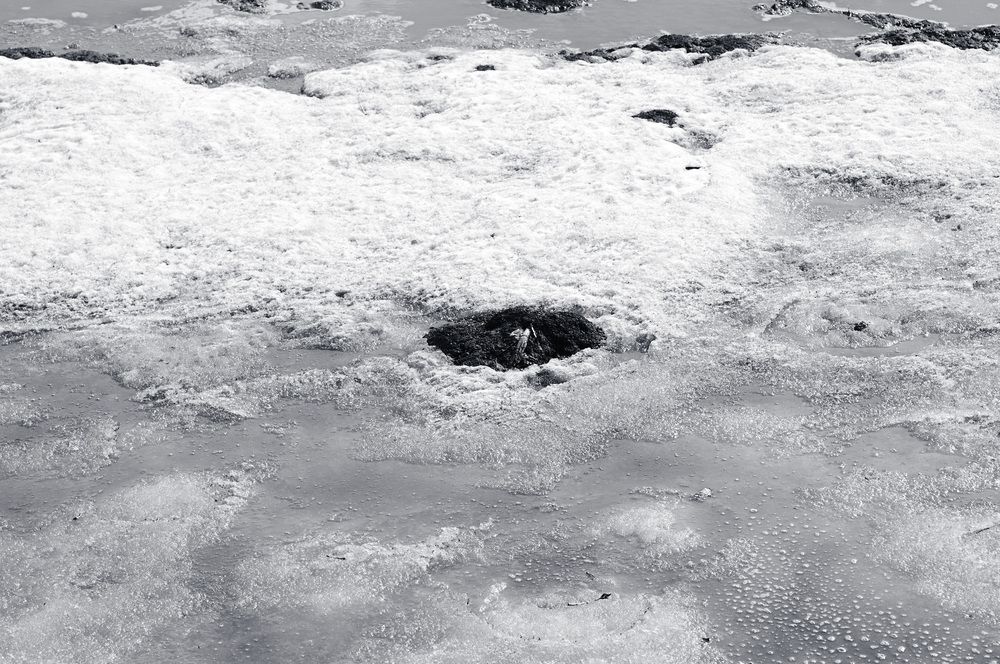 Photograph by Nobu-Oh