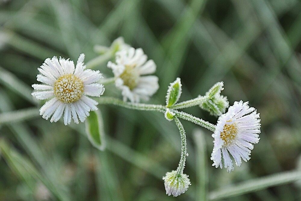 Фотография автора Ольга Пушленкова