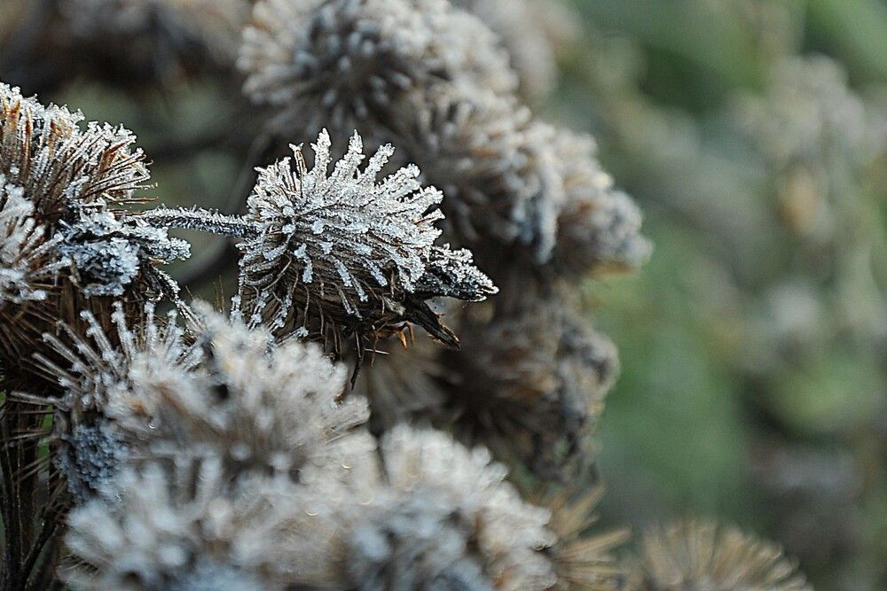 Фотография автора Ольга Пушленкова