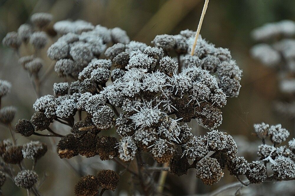 Фотография автора Ольга Пушленкова