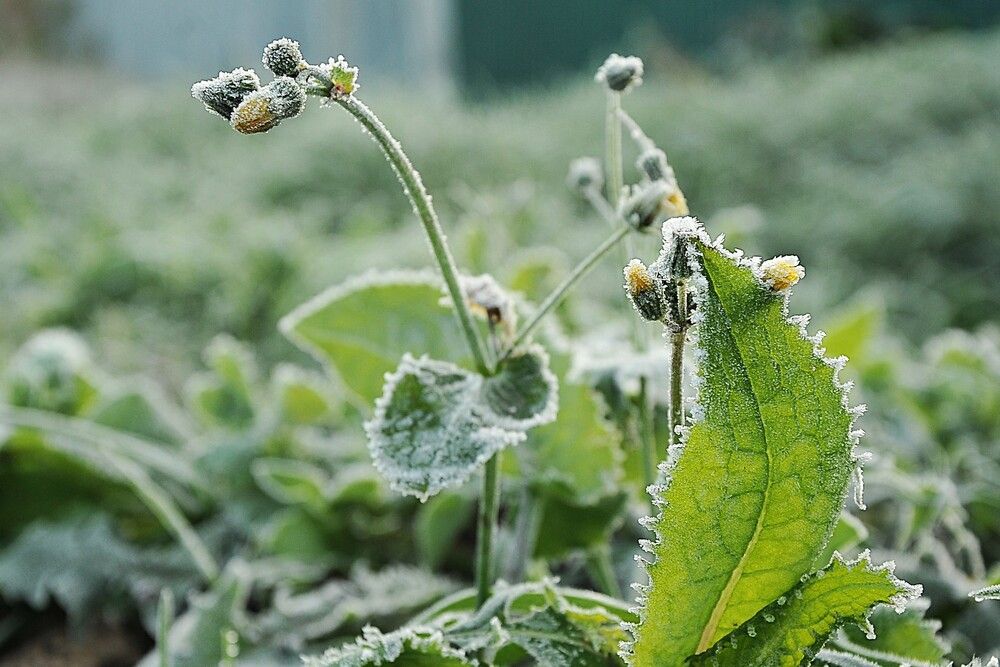 Фотография автора Ольга Пушленкова