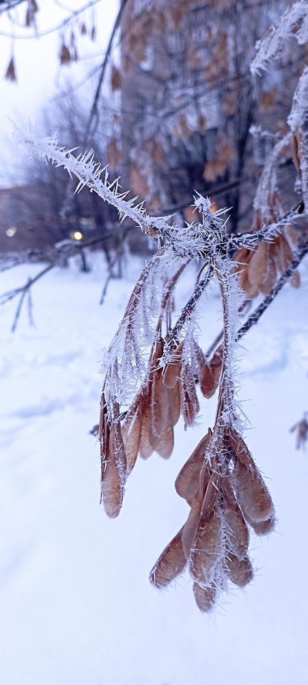 Photograph by Анна Скряжевская