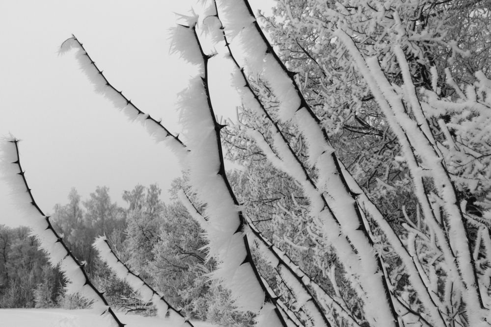 Photograph by Родосская Нонна