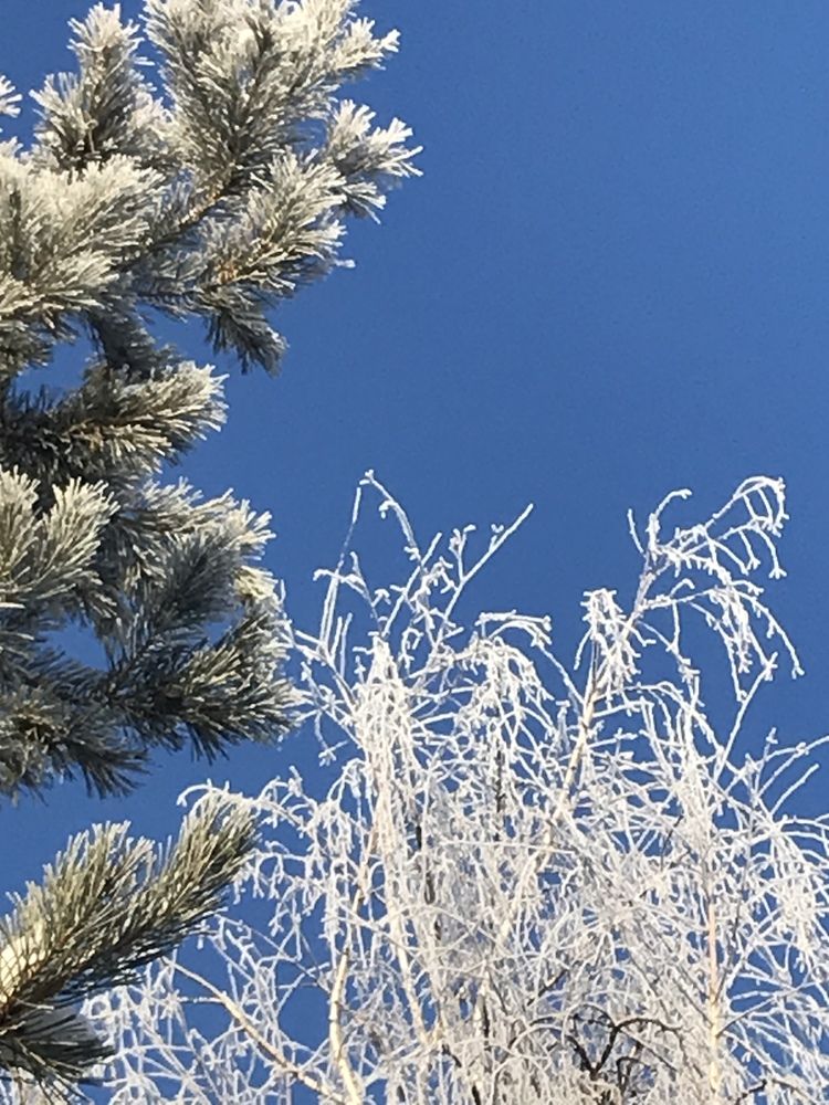 Photograph by Татьяна Гуськова