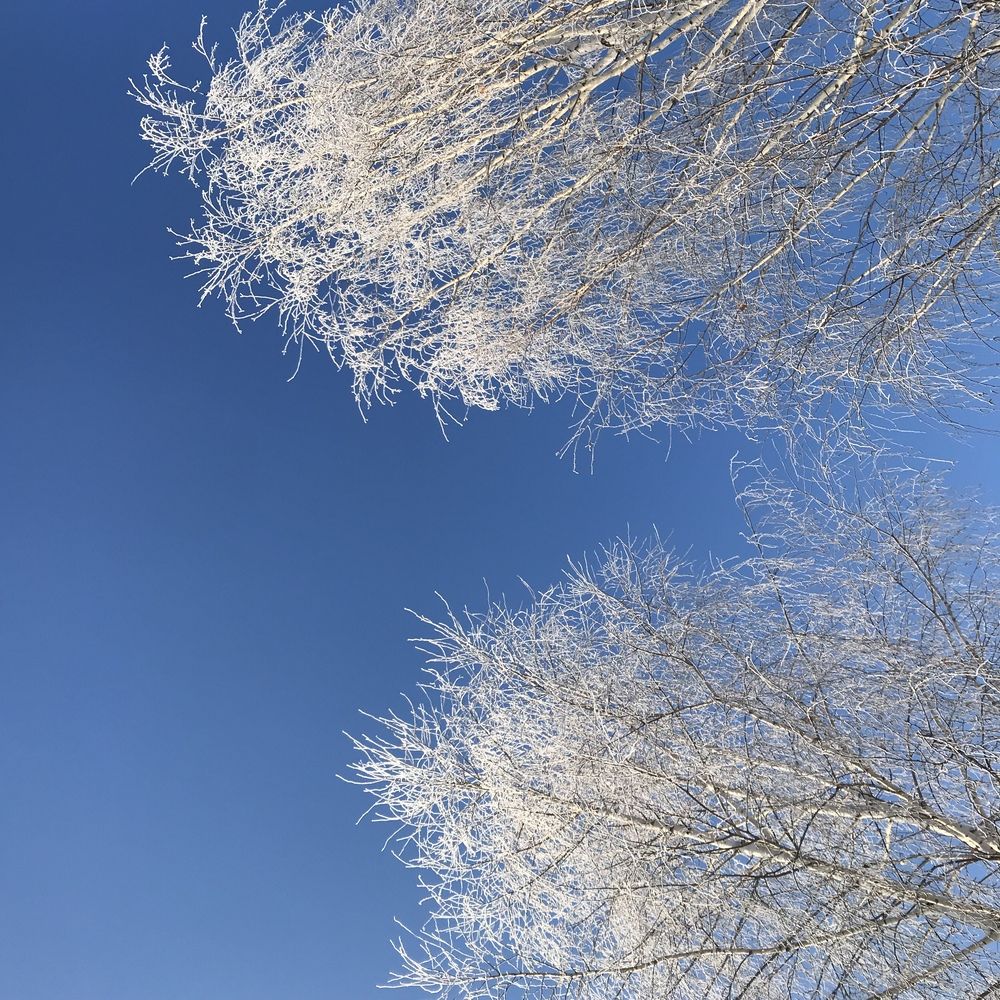 Photograph by Татьяна Гуськова