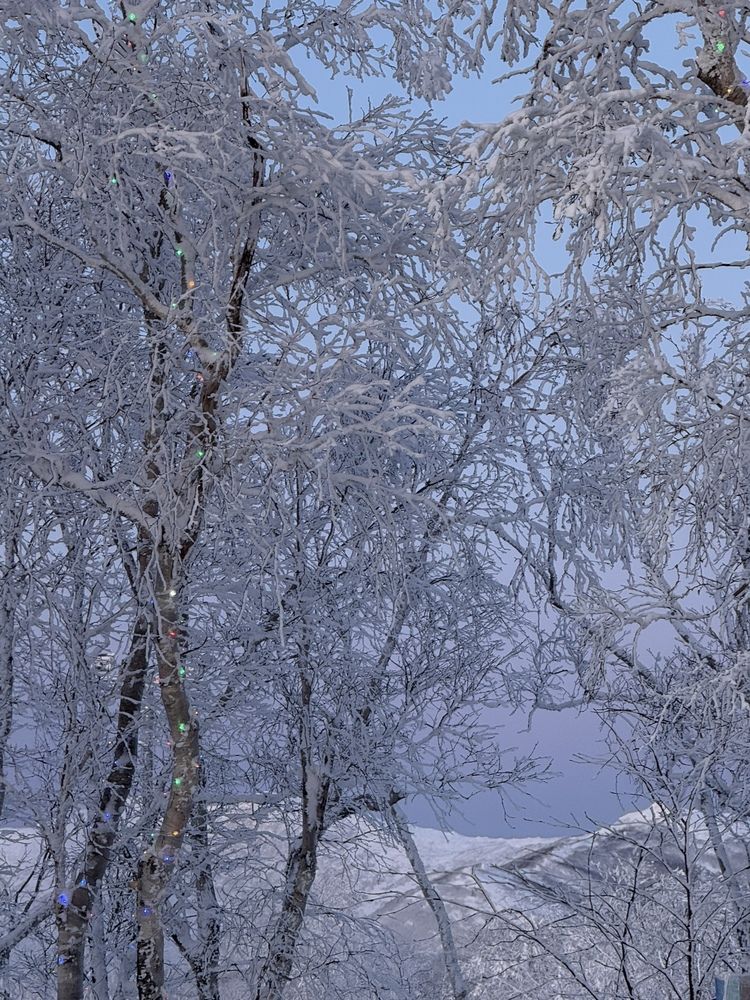 Фотография автора Елена Меньшикова