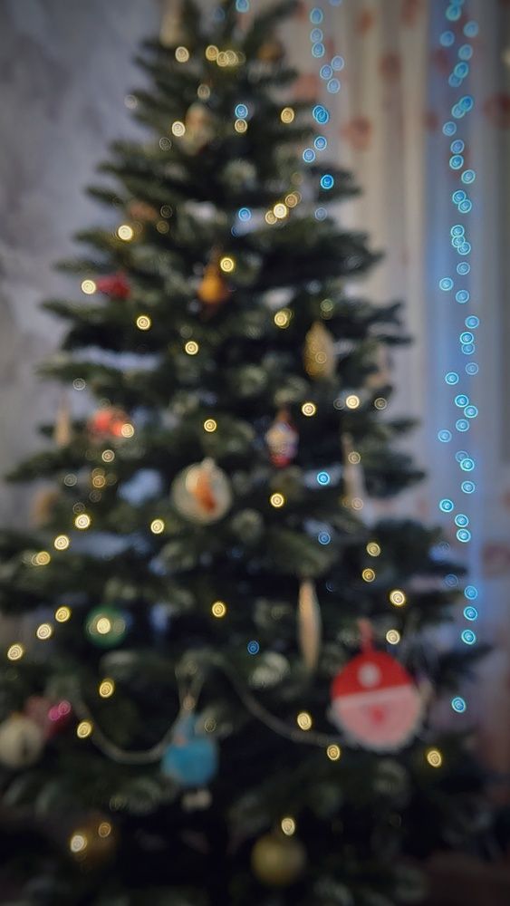 Фотография автора Анастасия Мамаева