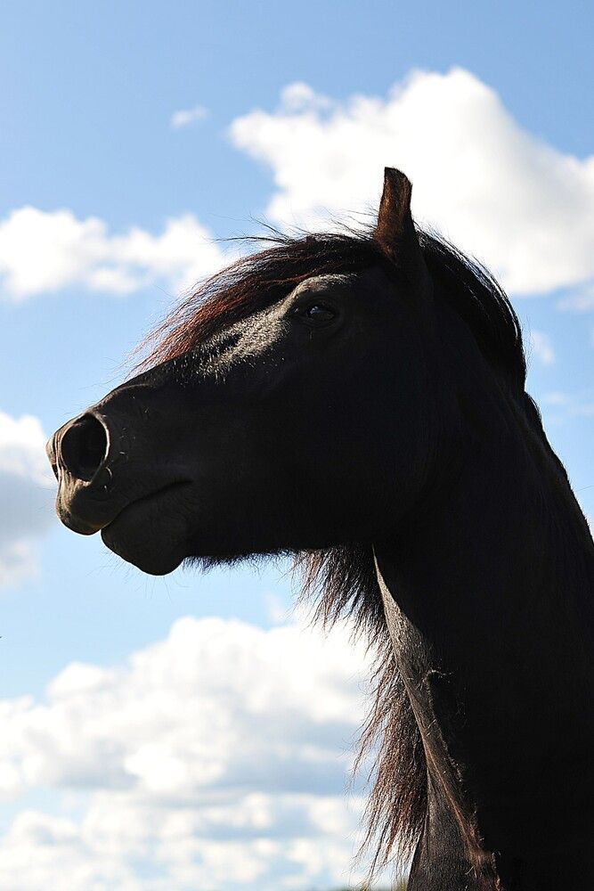 Photograph by Ольга Пушленкова