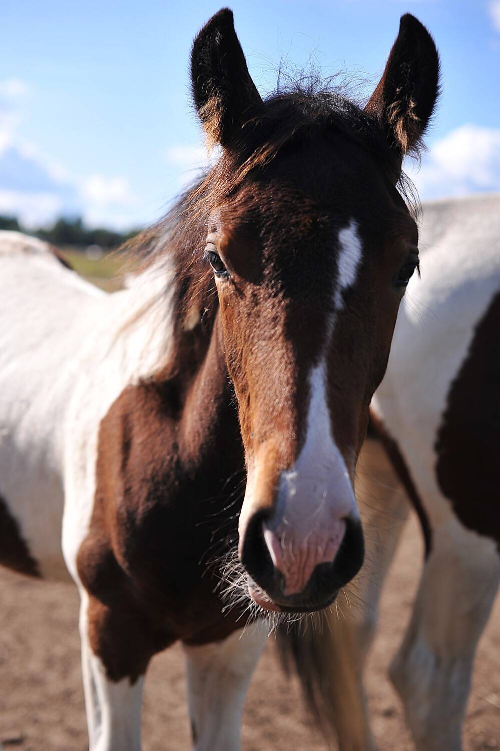 Фотография #13031282