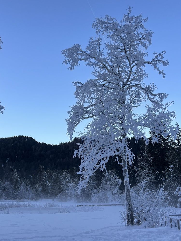 Фотография автора Veronika Lemke